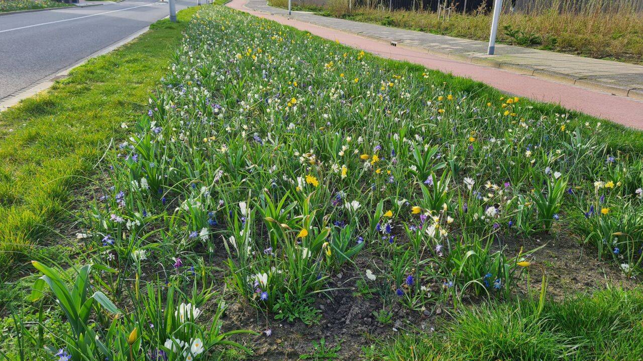 Nieuwe pagina juli '25